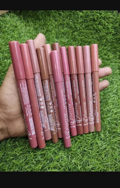 Smudge proof Lip pencil, pack of 12 