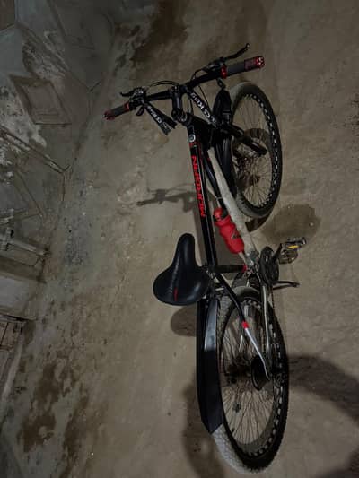 Morgan 29 inch bicycle