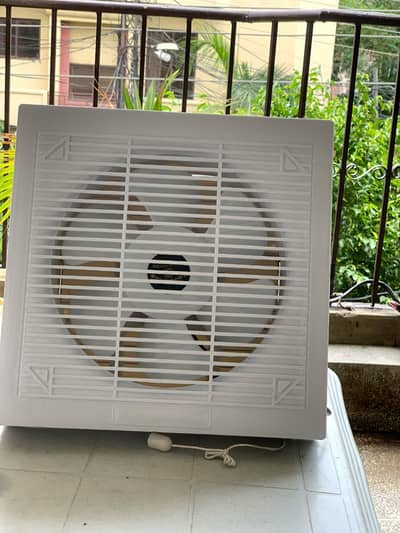 Good luck Fans 12 inch pvc