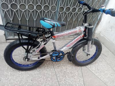 Phoenix Fat Bike all sizes