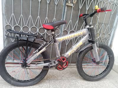 Phoenix Fat Bike all sizes