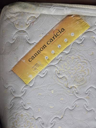 king size spring mattress canon caricia