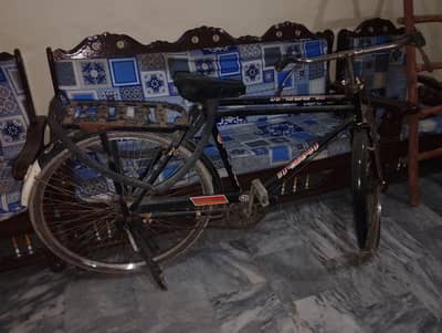 cycle for sale