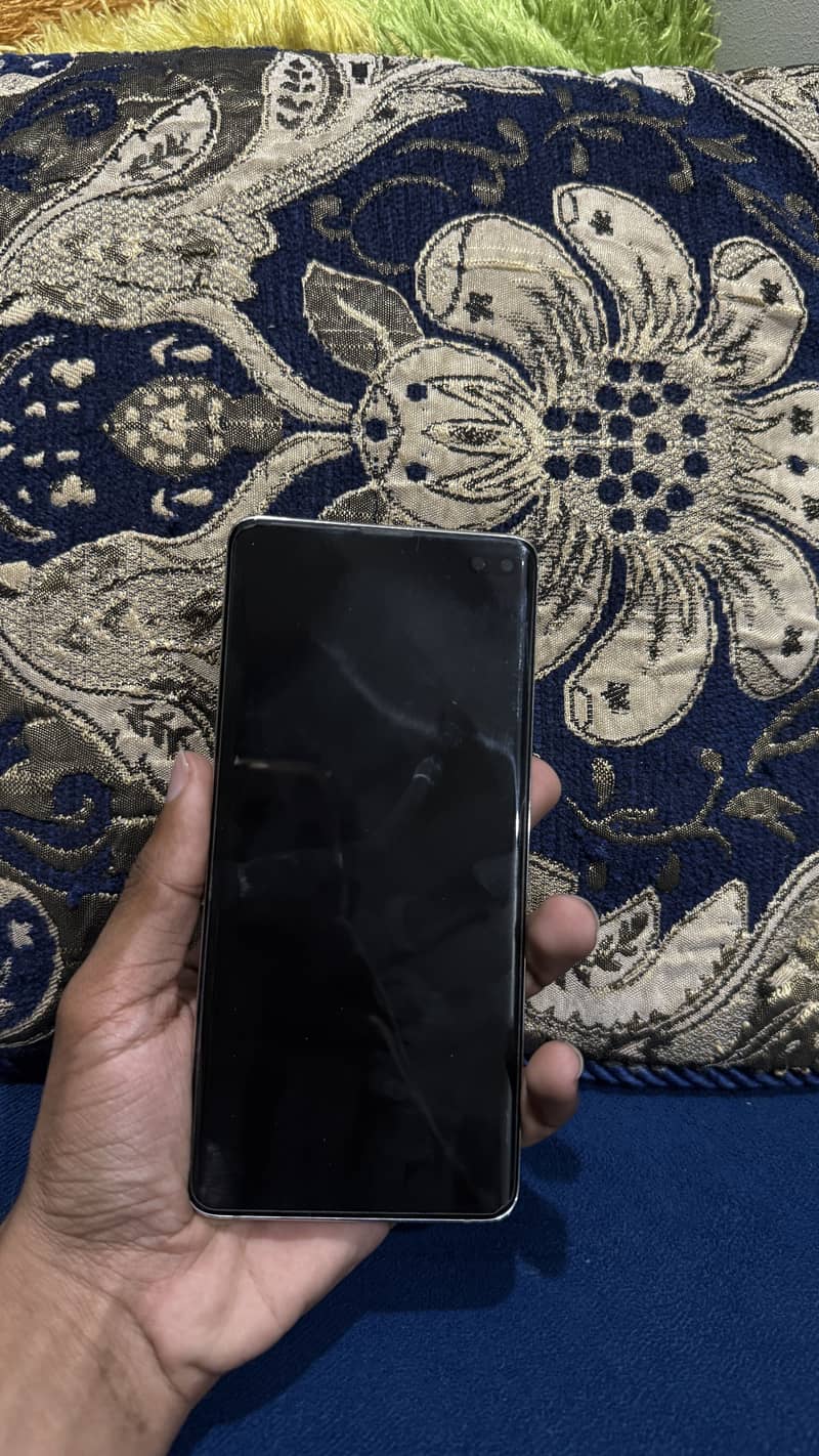 S10 plus panel +body 12