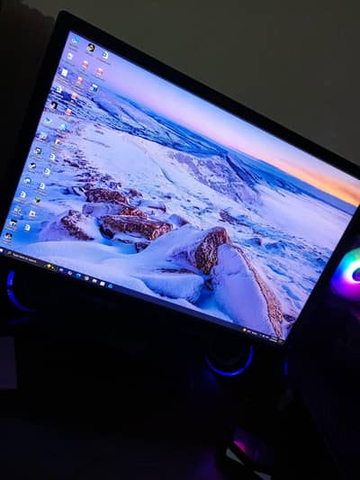 Dell 24 Inch Desktop  Screen