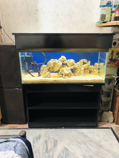 3 fit fish aquarium with fishes