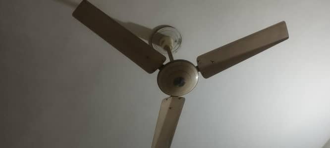 4 PURE COOPERS FANS FOR SALE