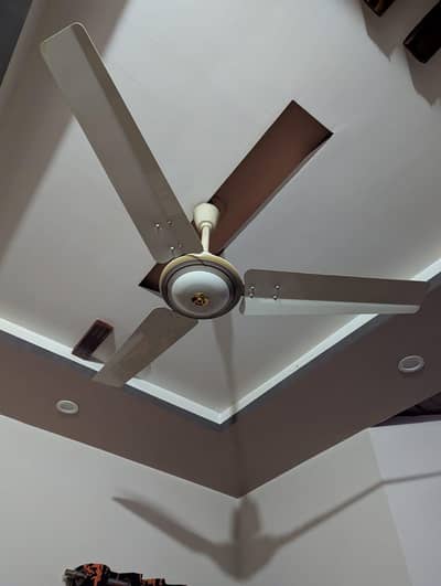 3 ROYAL CEILING FANS For urgent sale