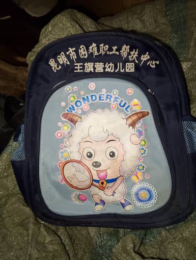 school and laptop bags