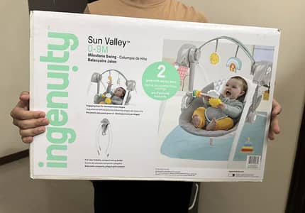 Automatic Ingenuity Baby Swing