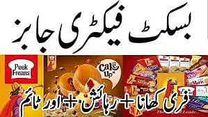 factory and others jobs