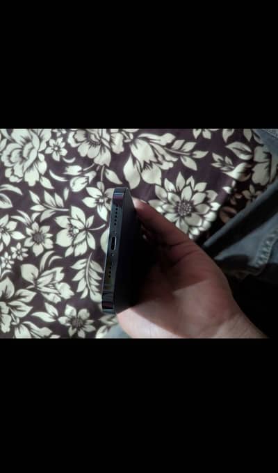 Iphone 12 pro max pta approved