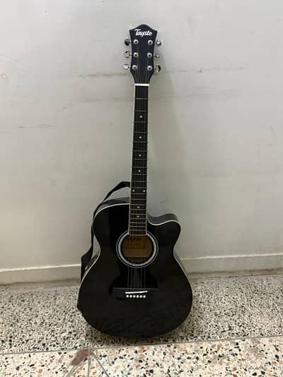 Tayste acoustic guitar