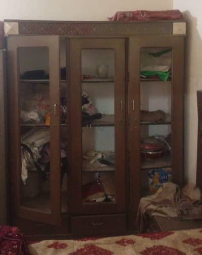 Large size showcase sale in lush condition