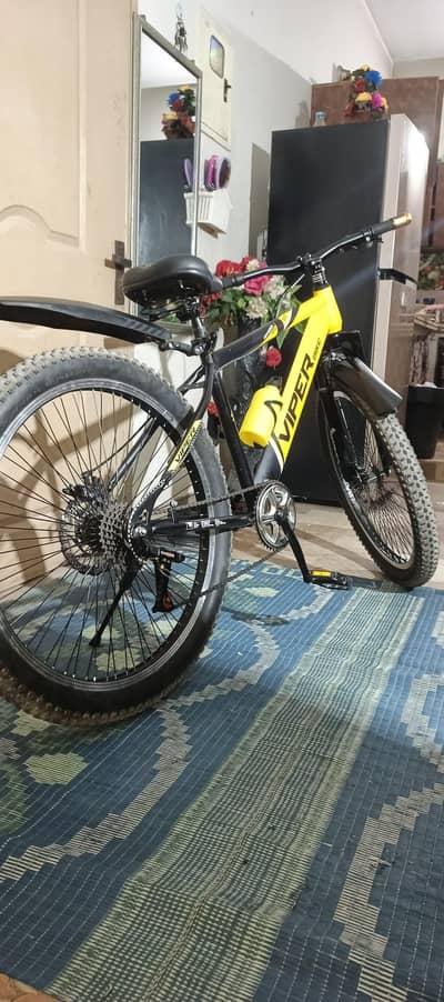 bicycle 25 inch with gair