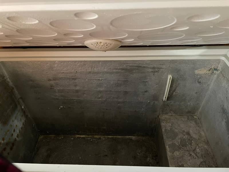 deep freezer 2