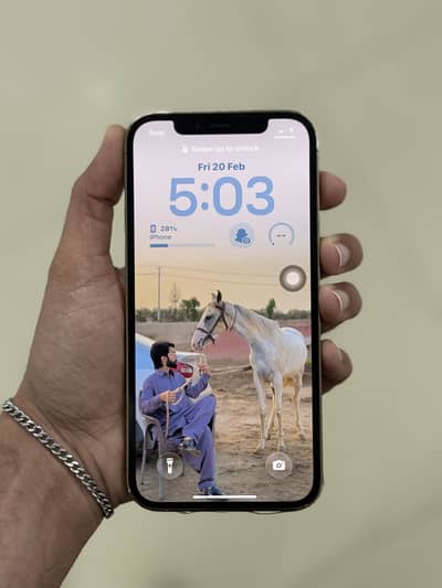 iPhone 12 pro pta Approved