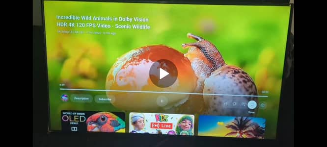 TCL 55" 4K UHD Smart Android TV - Urgent Sale due to shifting.