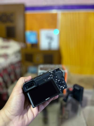 Sony 6400 with Sigma 16mm