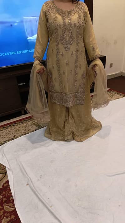 brand new partywear dress