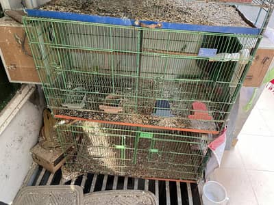 3 birds cages for sale with box and sticks & bowl