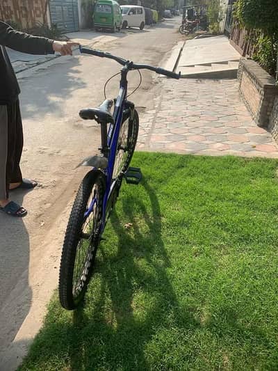 full new hair ok ha level ha