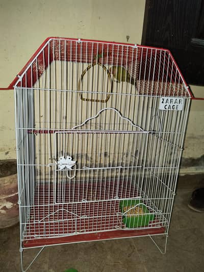 lutino male lovebirds with cage for sale