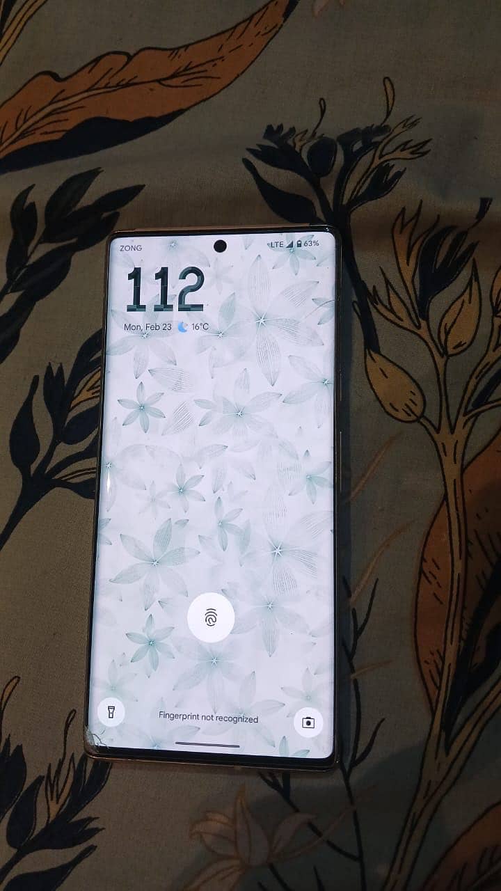 Google pixel 6 pro 2