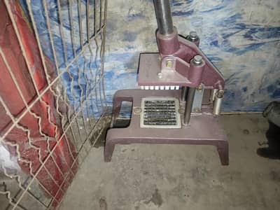 fries kontar samn ha Sara sath