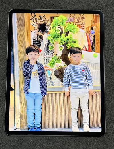 iPad Pro 12.9 inch 256GB (6th Generation) Wi-Fi + Cellular