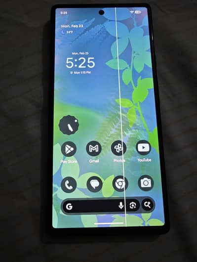 PIXEL 6 AMOLED Display