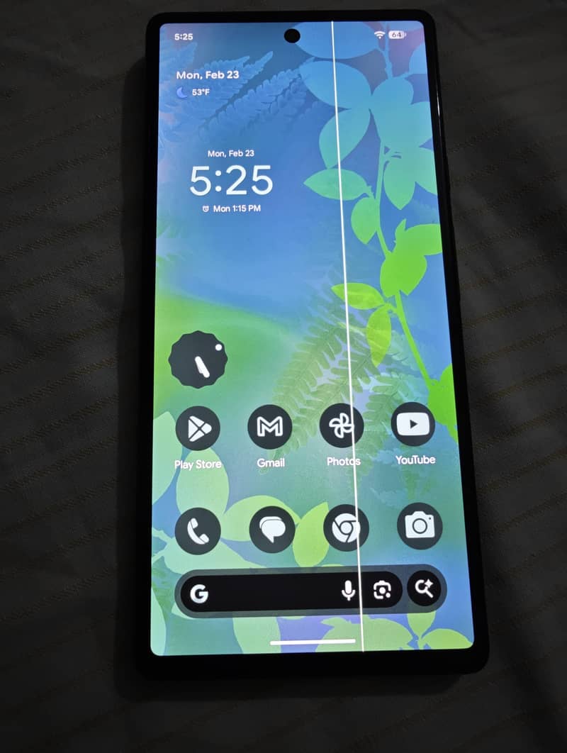 PIXEL 6 AMOLED Display 0