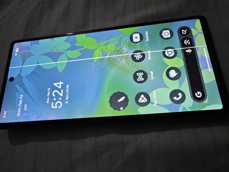 PIXEL 6 AMOLED Display 1