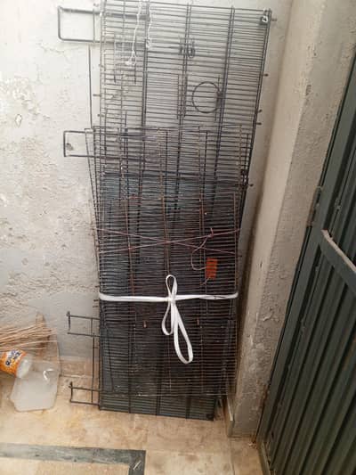 Birds cage for sale
