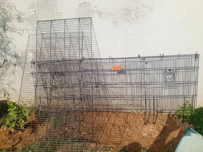 Birds cage for sale