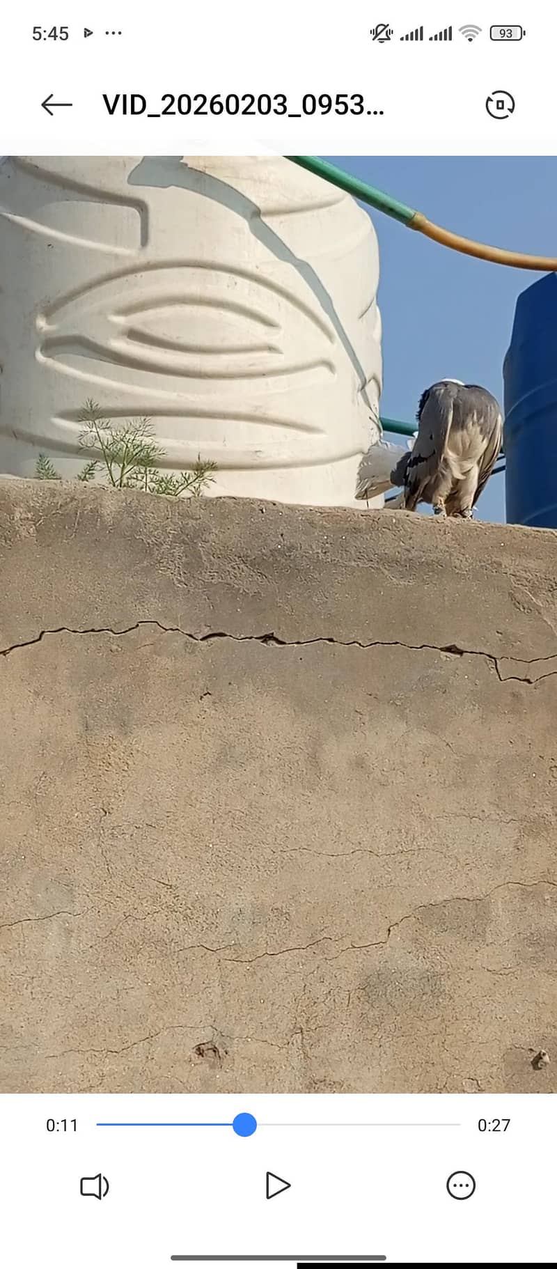 جس کے پاس اس کوالٹی کا میل ہو  وؤ رابطہ کرے 0