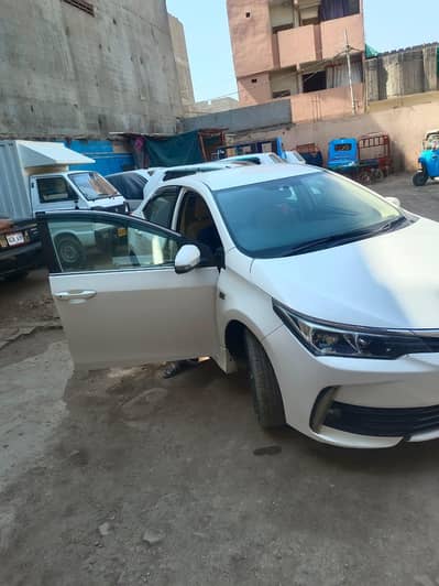 Carola Altis 2017 Bamper to Bamper original