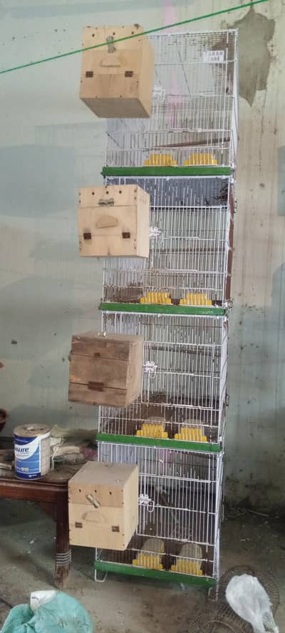 breeder cage ha 03128935987