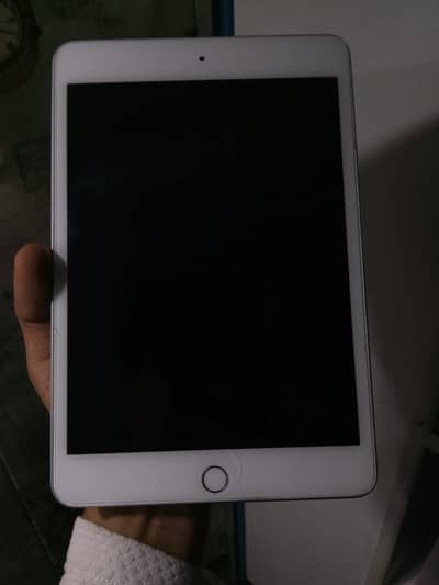 iPad mini5