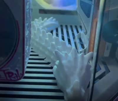 3d printed snake and robot combo