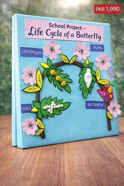 3D School Models & Canvas Paintings – Expertly Made