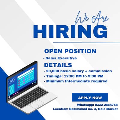 Sales Executive for E-commerce