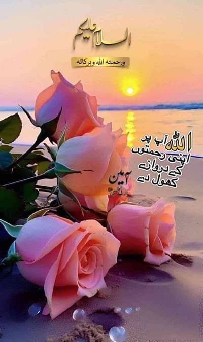 Muhammad Mubashir Hussain