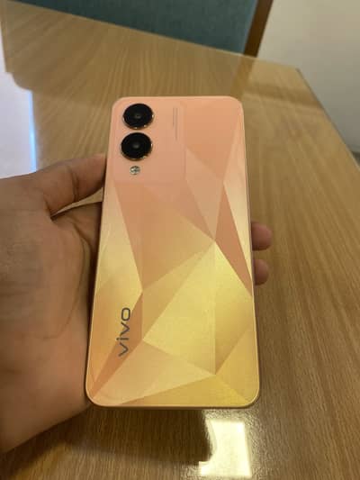 Vivo Y17s