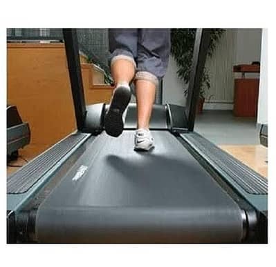 Treadmill belt