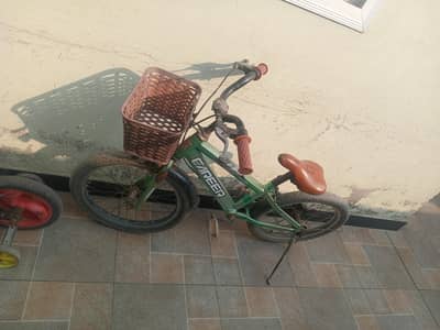 5sal k bachy or 7 sal k