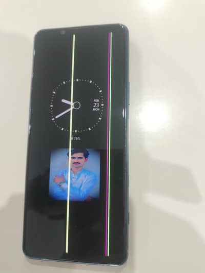 official pta approved ha