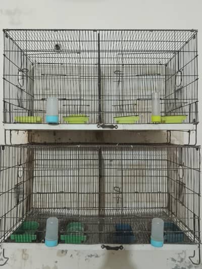 2 pingry hn ache condition m