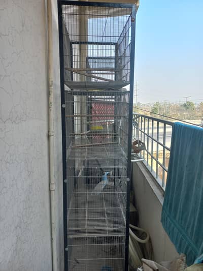 Love birds Cage