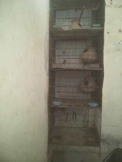 4 portion cage for sale